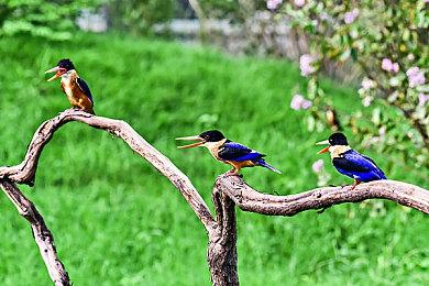 今天是FC红白机诞生40周年！