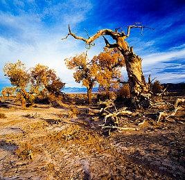 《守望先锋2》阳春小鱿活动回归 新限时模式上线